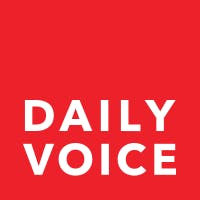 DV Logo
