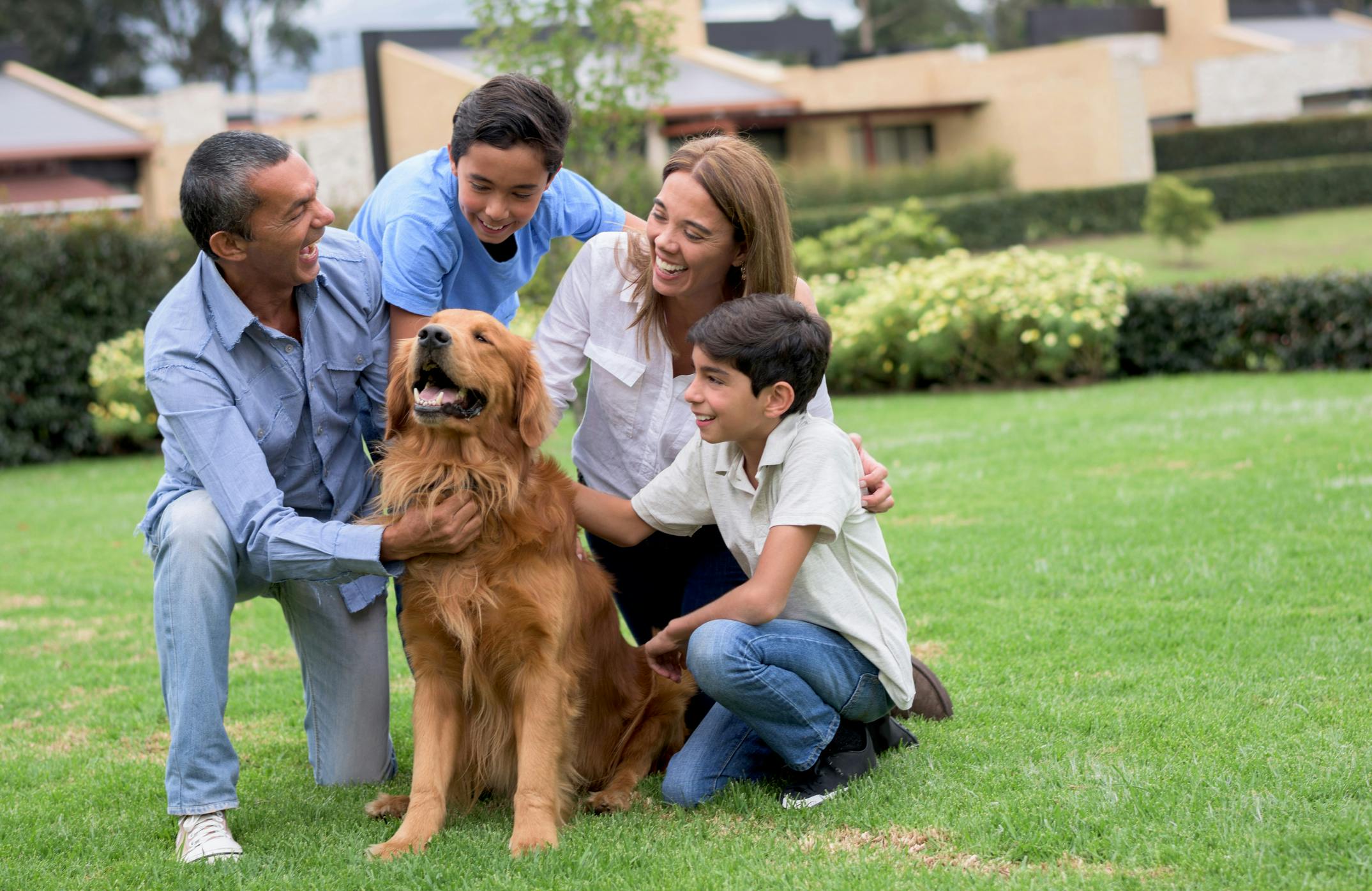 a group of people and a dog in the grass