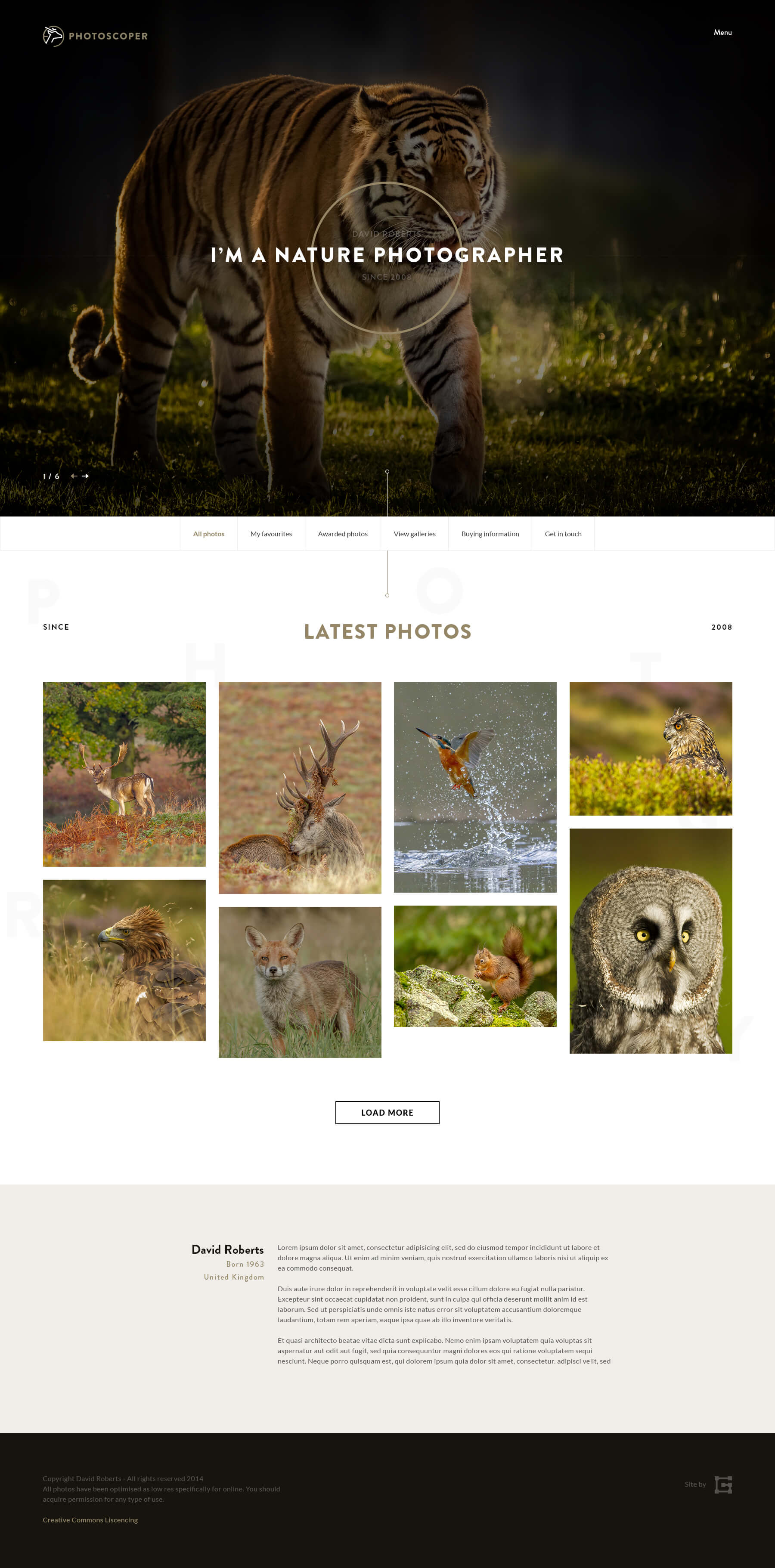 Photoscoper Homepage Design