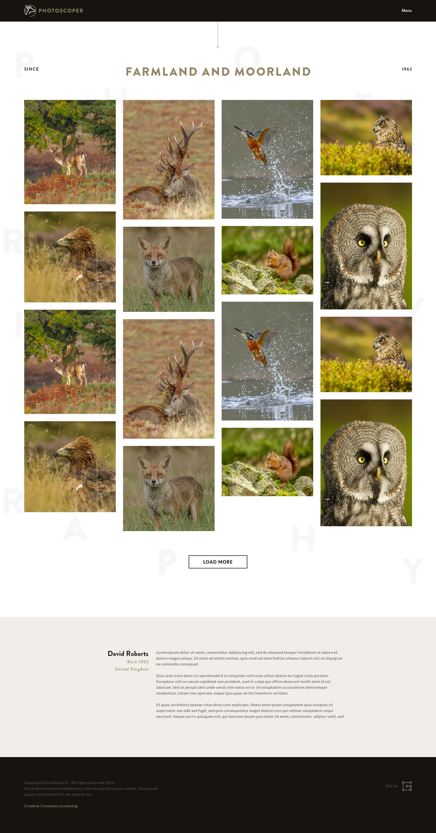 Photoscoper Gallery Page Design