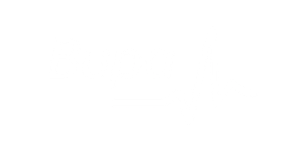 Bupa logo