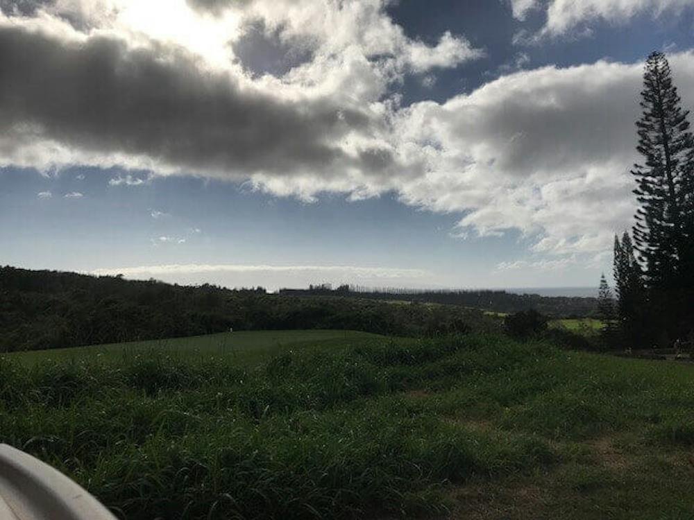Hawaiian Landscape