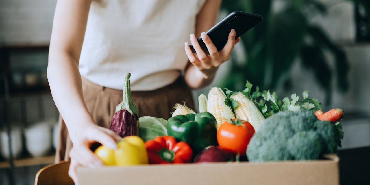 Woman doing home delivery grocery shopping in her cellphone