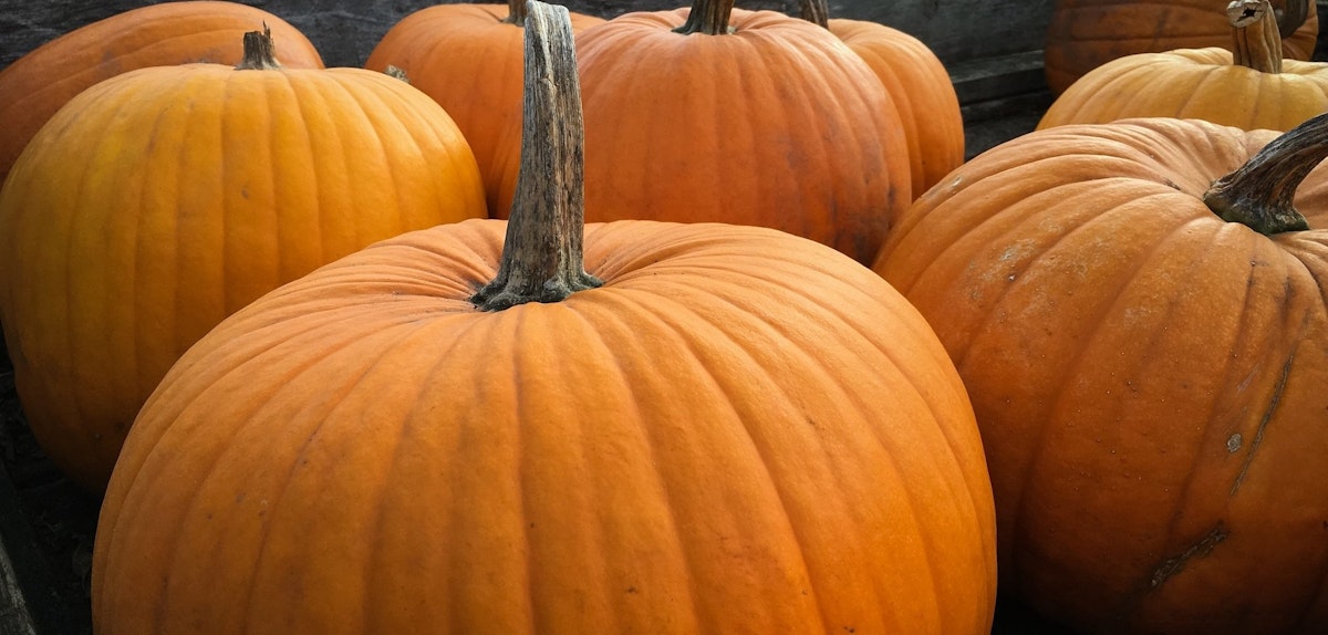 7 High Protein Snacks Under 200 Calories Lifesum