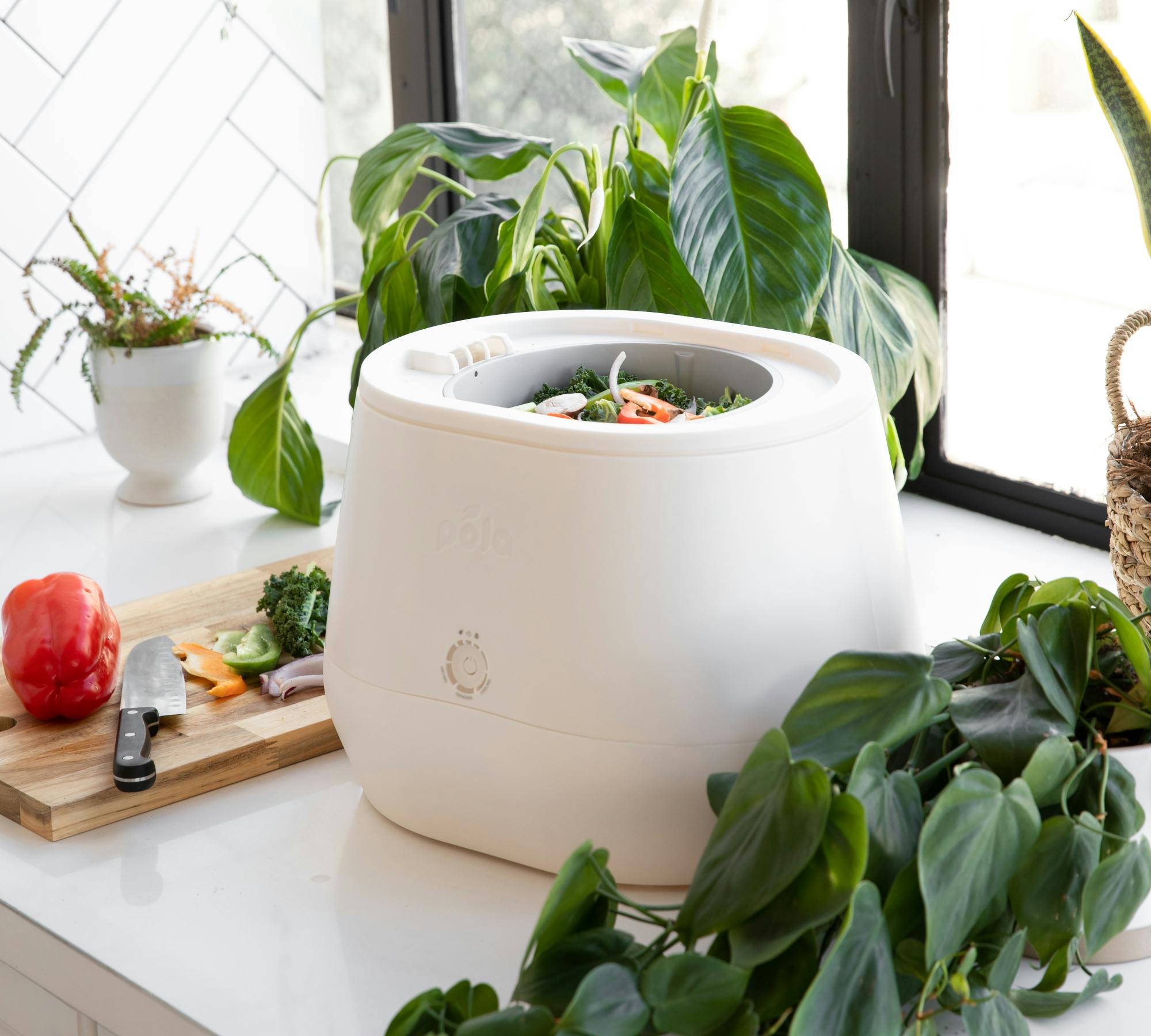 Lomi home composter