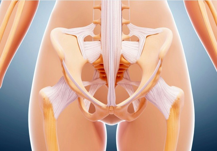 Il pavimento pelvico e la riabilitazione