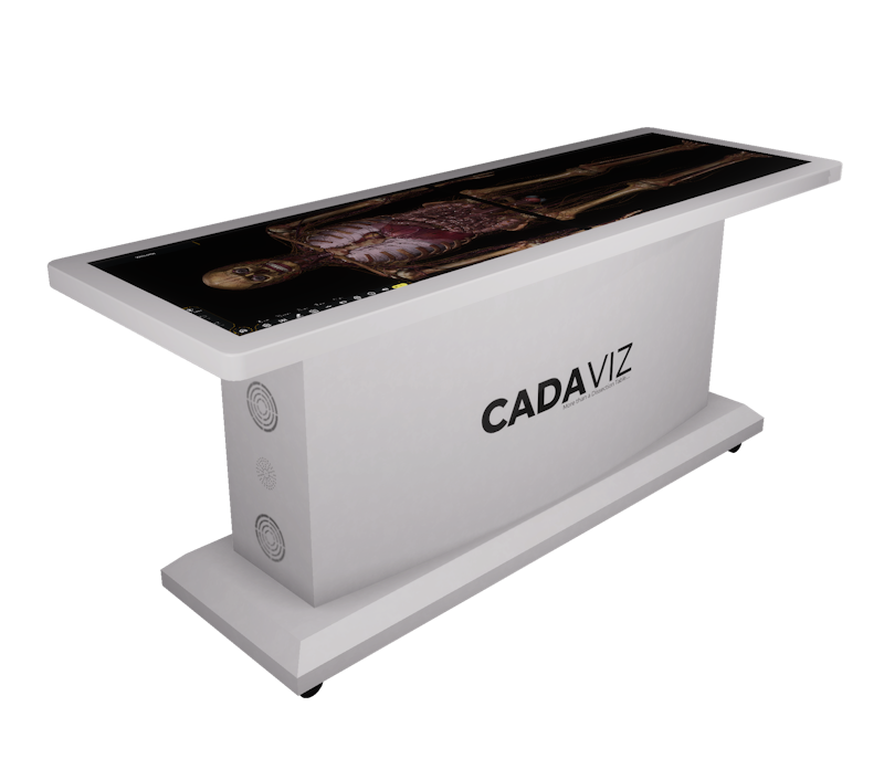 CADAVIZ