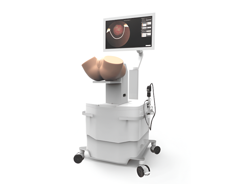GynoS™ Hysteroscopy