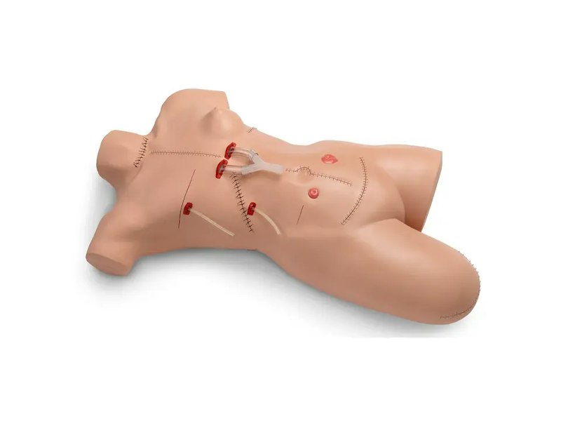 Surgical Sally