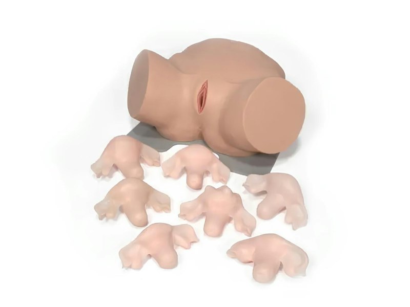 Trainer per l’Esame Ginecologico