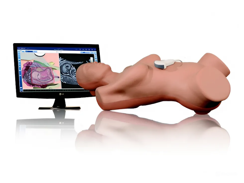 VIMEDIX OB/GYN