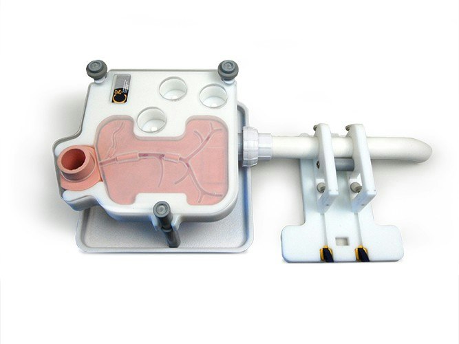 Trainer ERCP