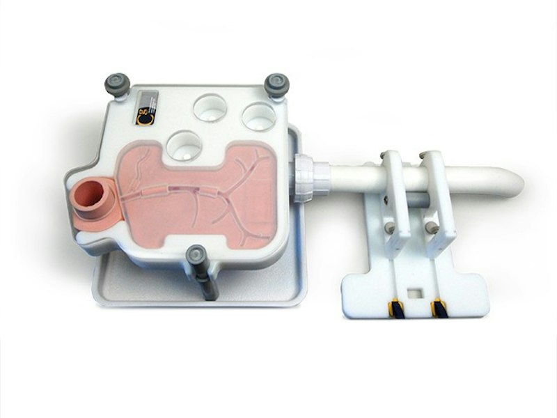 Trainer ERCP