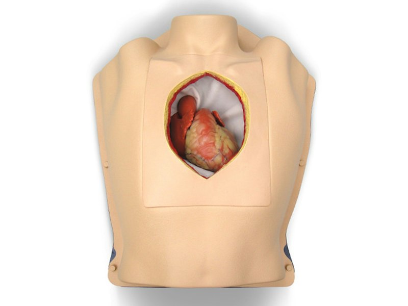 Torace con Cuore Battente per il Training Cardiochirurgico