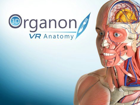 Software Avanzato di Anatomia 3D Organon per Visori VR