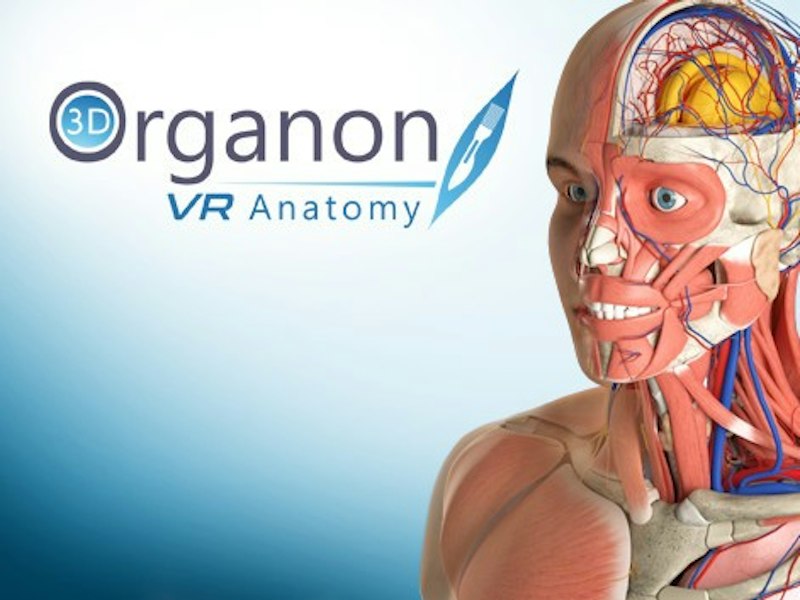 Software Avanzato di Anatomia 3D Organon per Visori VR