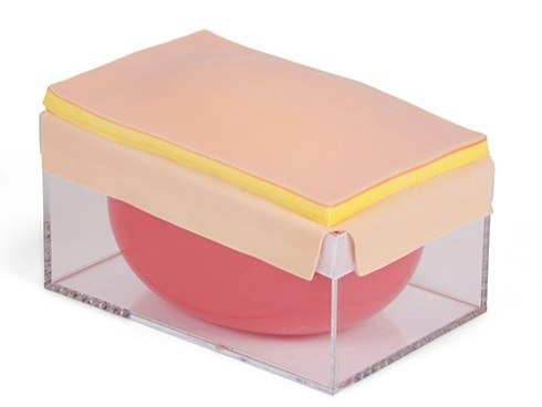 Trainer Professionale per l’Insegnamento delle Tecniche Chirurgiche sull’Addome