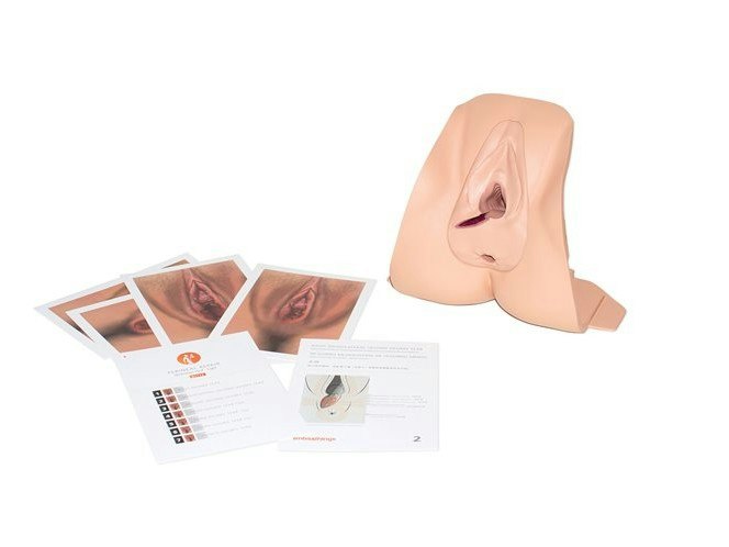 Trainer per la Pratica dell’Episiotomia