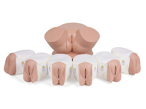 Trainer per l’Esame della Pelvi Femminile