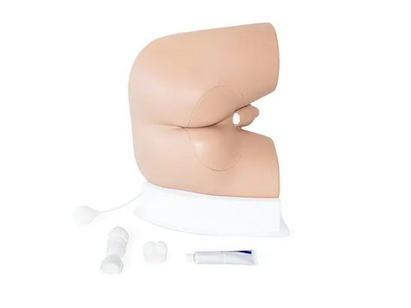 Trainer Per Esaminazione Del Retto Maschile