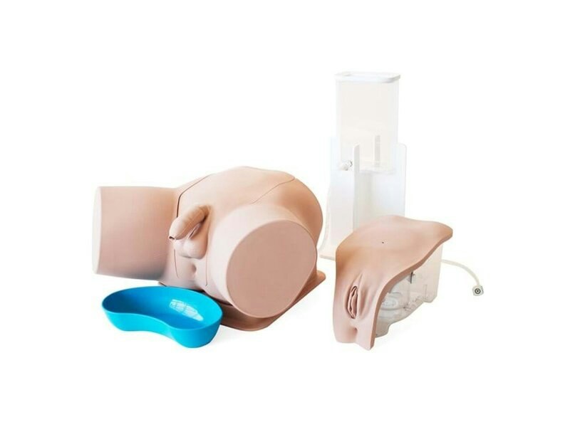 Trainer per Cateterismo Standard