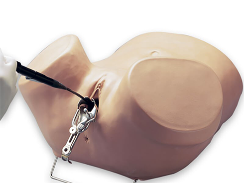 Trainer per la Pratica dell’Isteroscopia