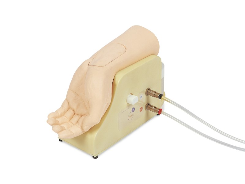 Trainer per la Puntura Arteriosa Radiale