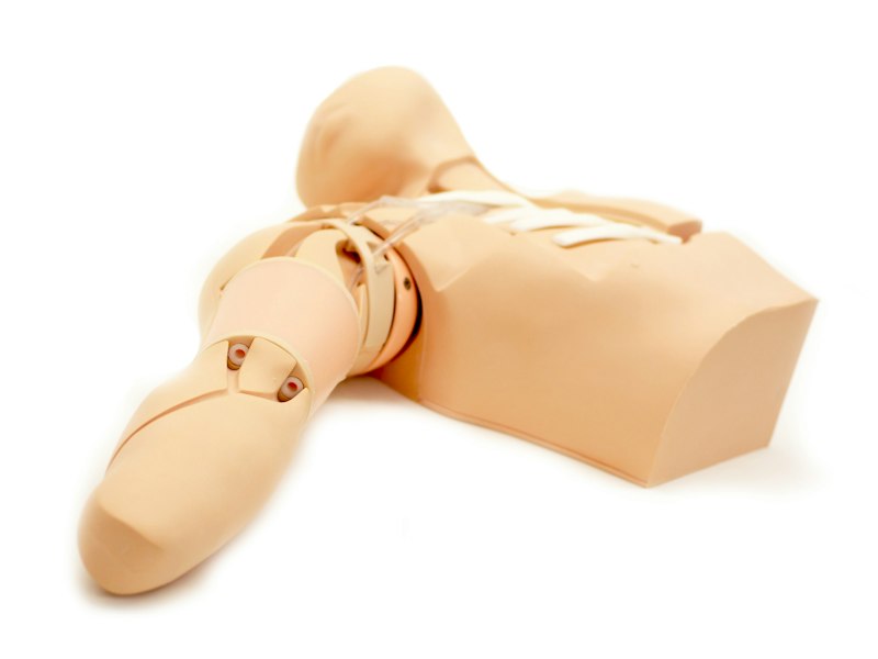 Trainer per la pratica della PICC Ecoguidata