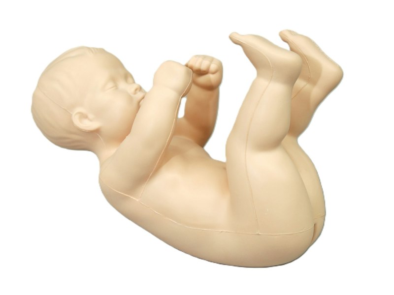 Trainer per la Puntura Lombare Pediatrica