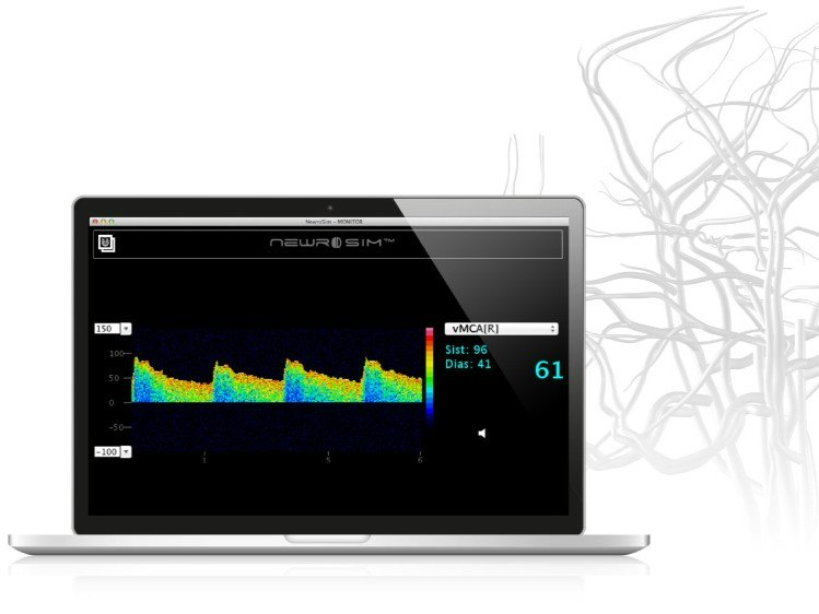 NewroSim™– Simulatore Neurologico Virtuale