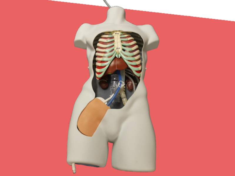 PERFUSIONSIM™