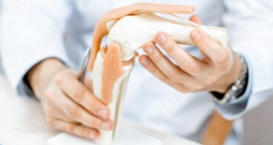 Orthopaedics and Traumatology