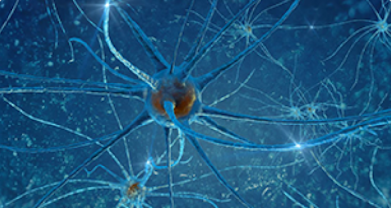 Neurology