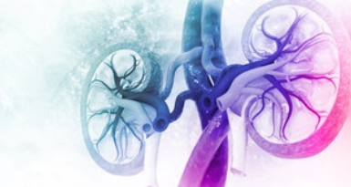 Nephrology