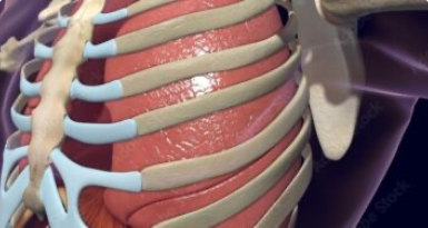Thoracic Surgery