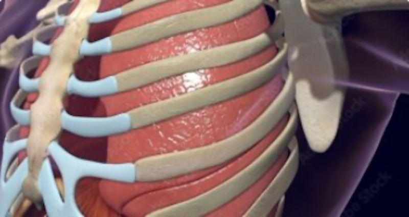 Thoracic Surgery