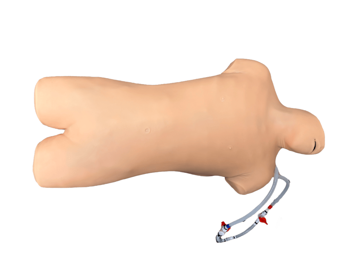 ECMO E-SIM Pro 2
