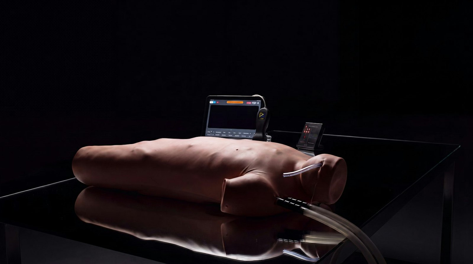 ECMO E-SIM Pro 2