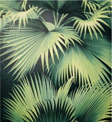 Papier peint de feuilles de palmier