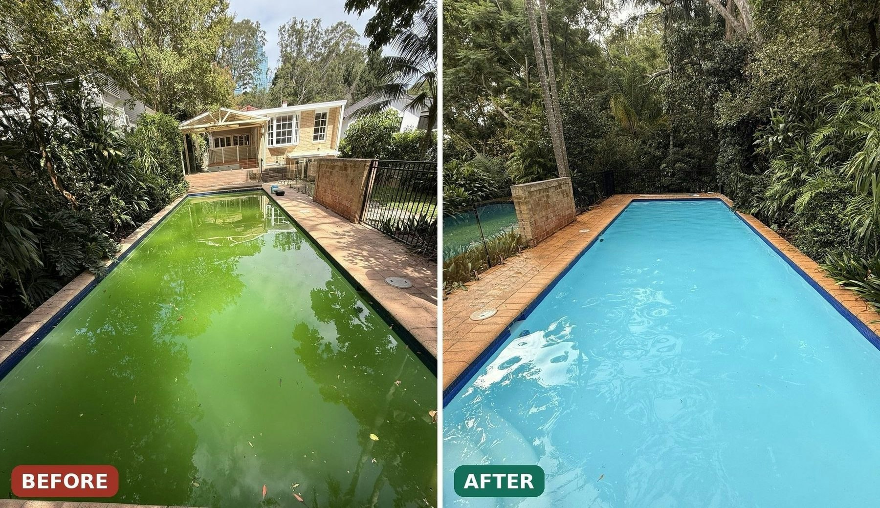 Green garden pool before and after recovery, now clear blue