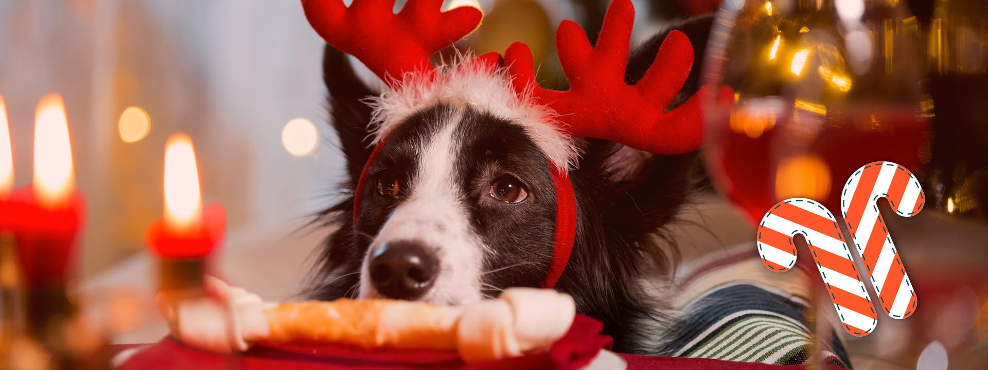 Süßer Weihnachtshund