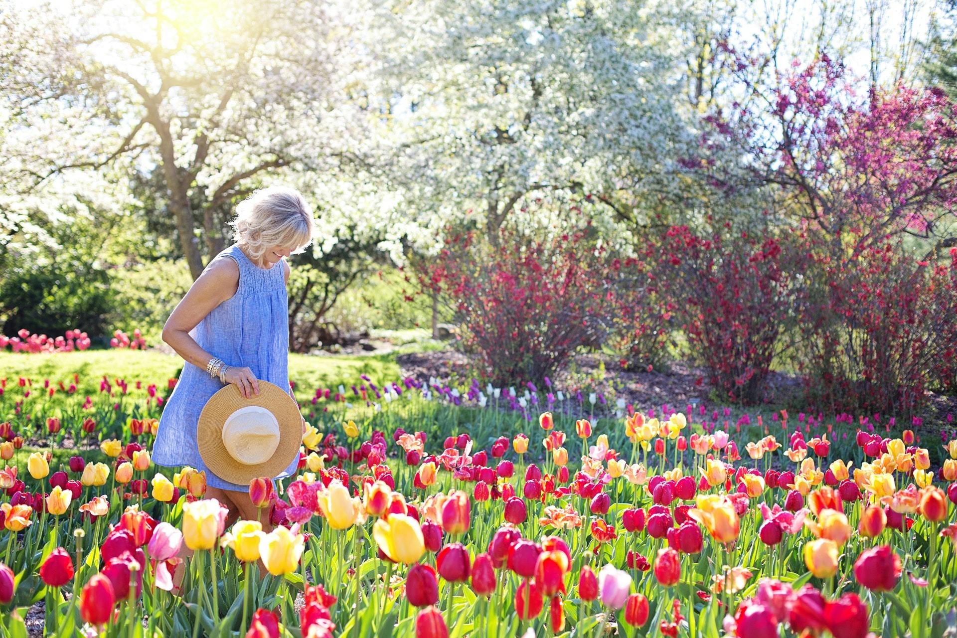 Kvinne går forbi tulipaner i hagen