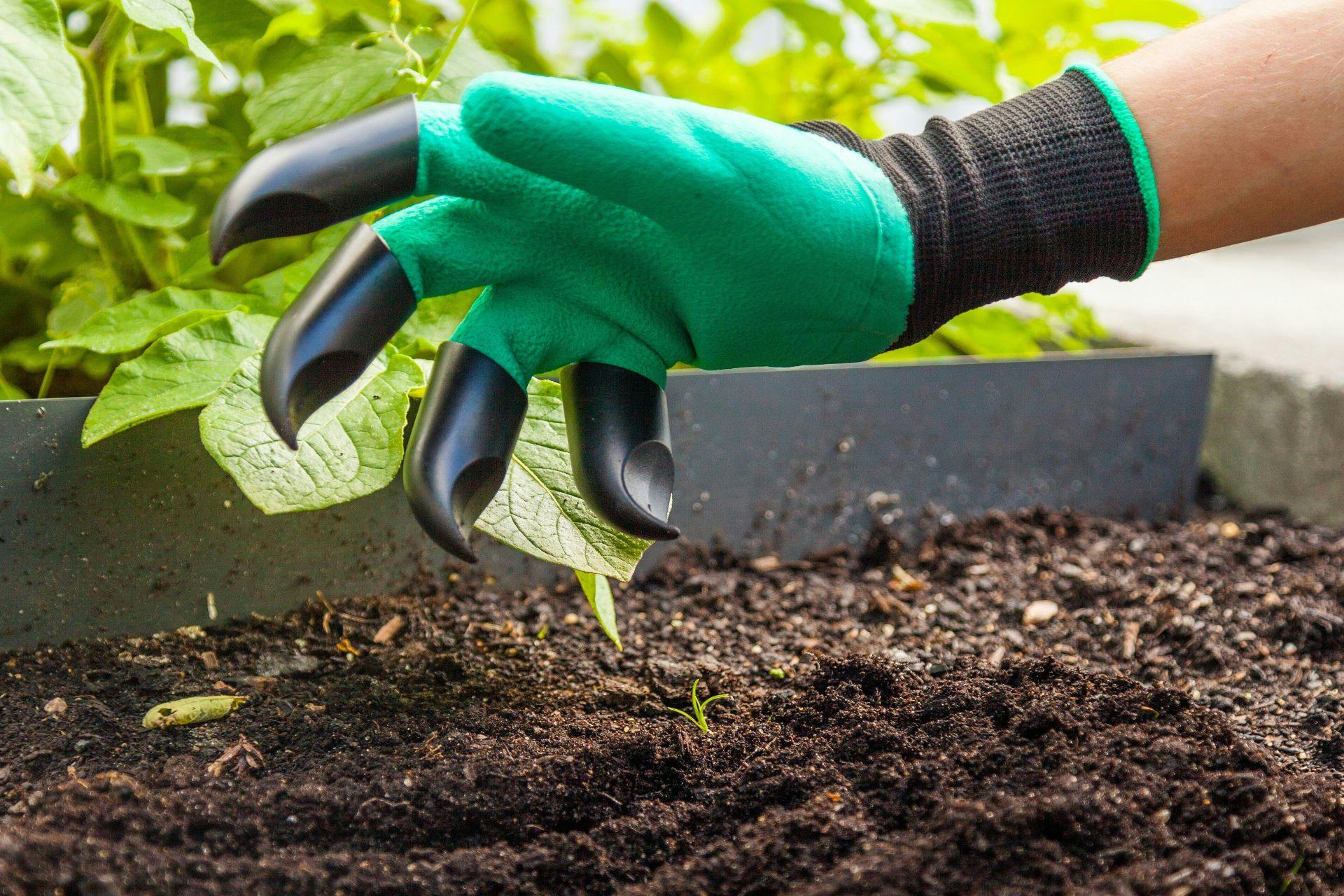 Gartenhandschuh mit Krallen