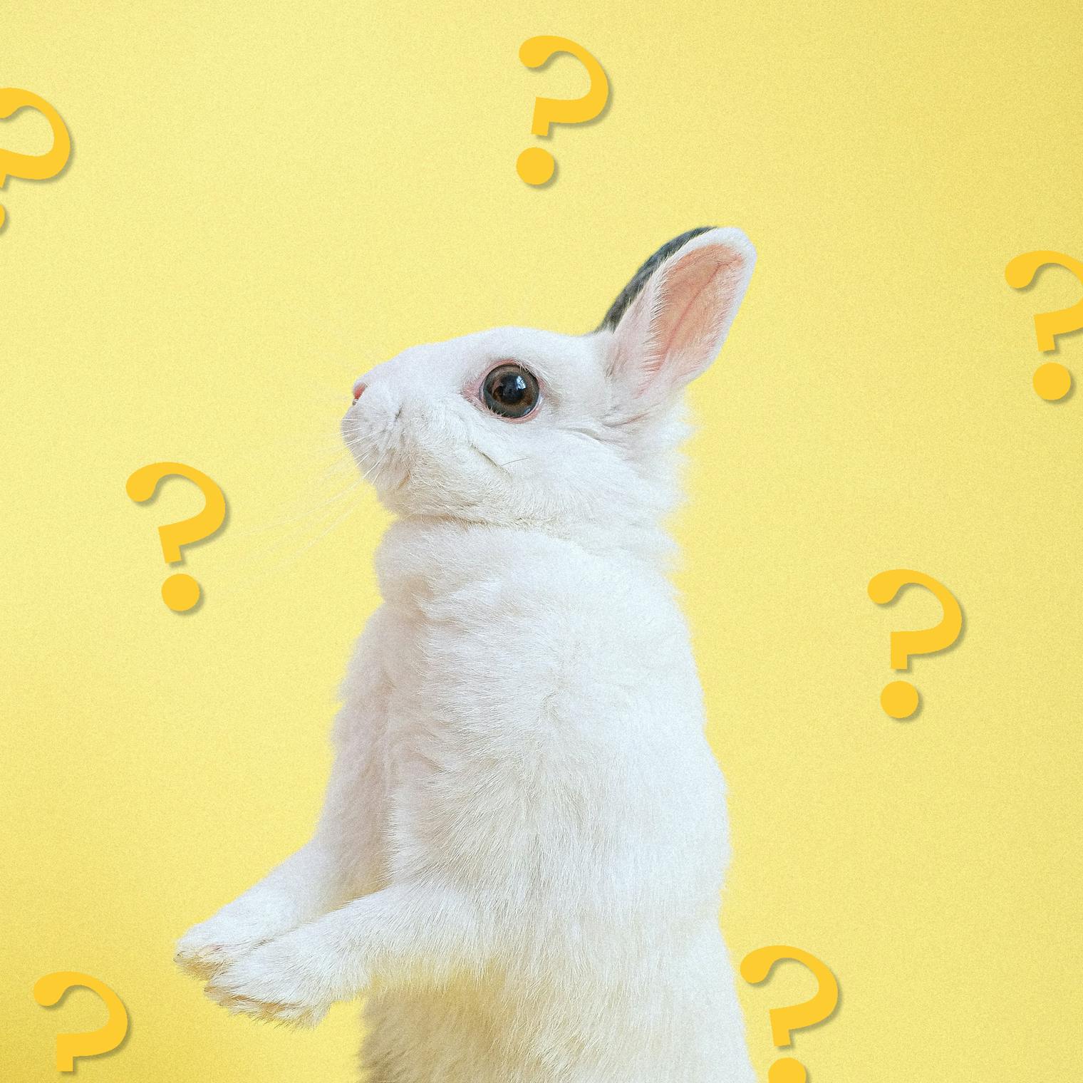 Wann ist Ostern 2025? Und Fakten zu Ostern! Coolstuff