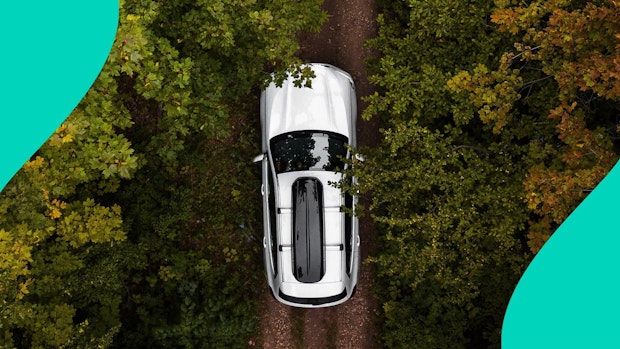 Car in woods