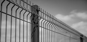 1610008764 reterecinsione