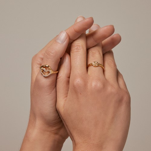 Enamel Ringe