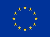 Flag of International