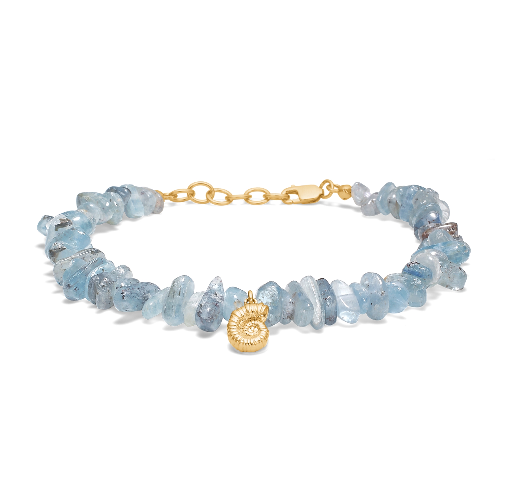 Seashell Secrets Kyanit Bracelet