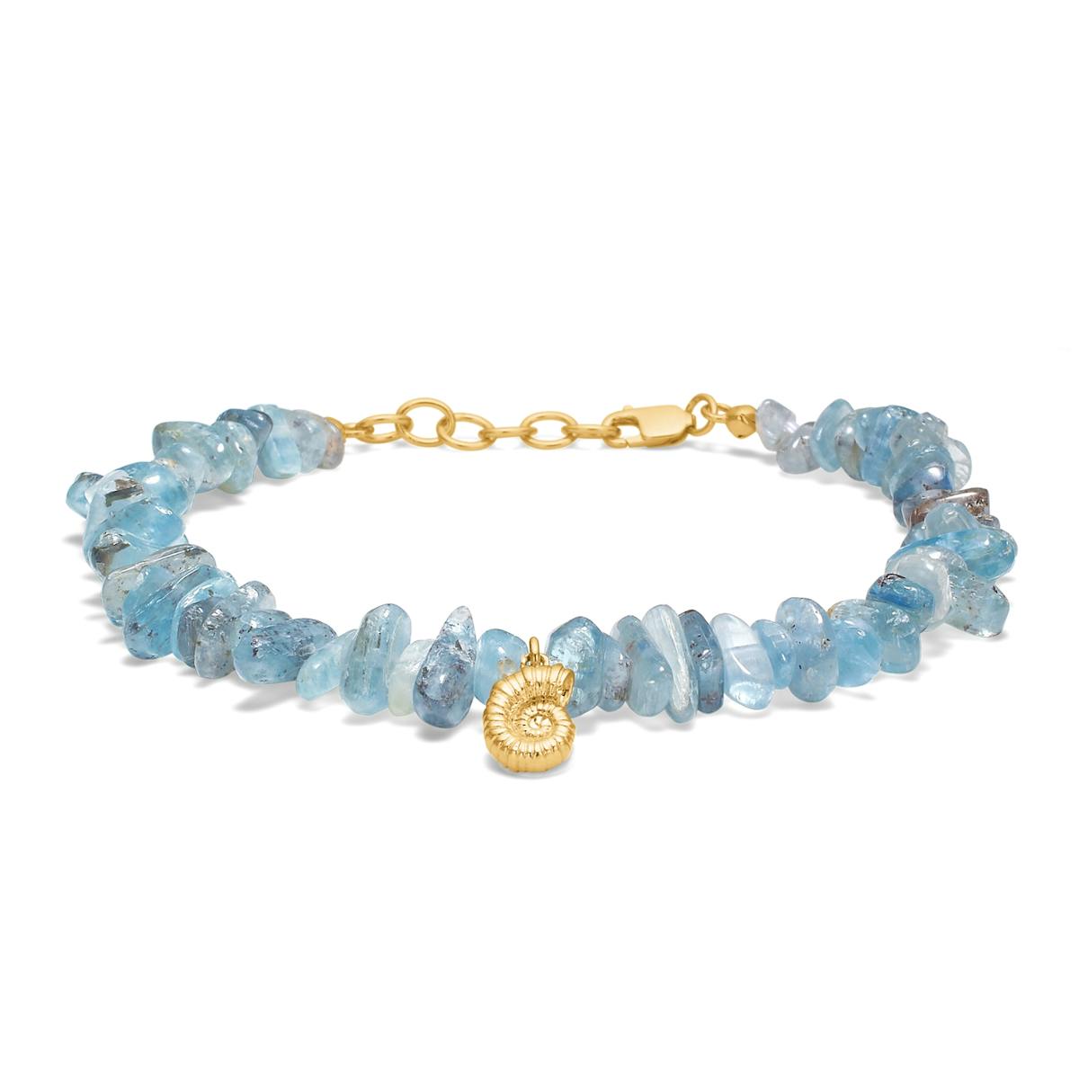 Seashell Secrets Kyanit Bracelet